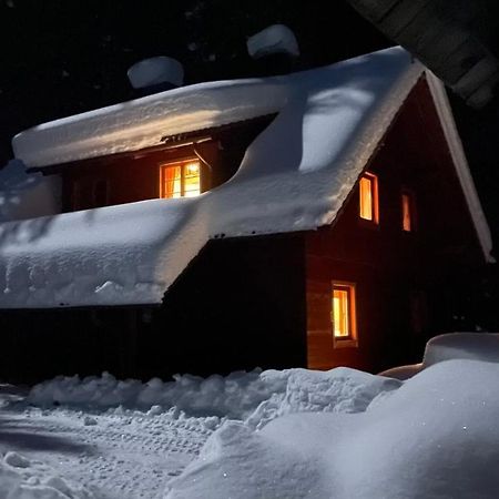 Digital Detox Chalet Pokljuka Goreljek Ngoại thất bức ảnh