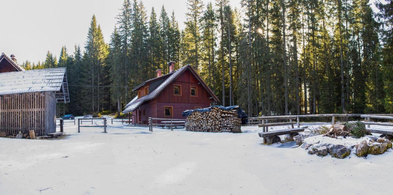 Digital Detox Chalet Pokljuka Goreljek Ngoại thất bức ảnh