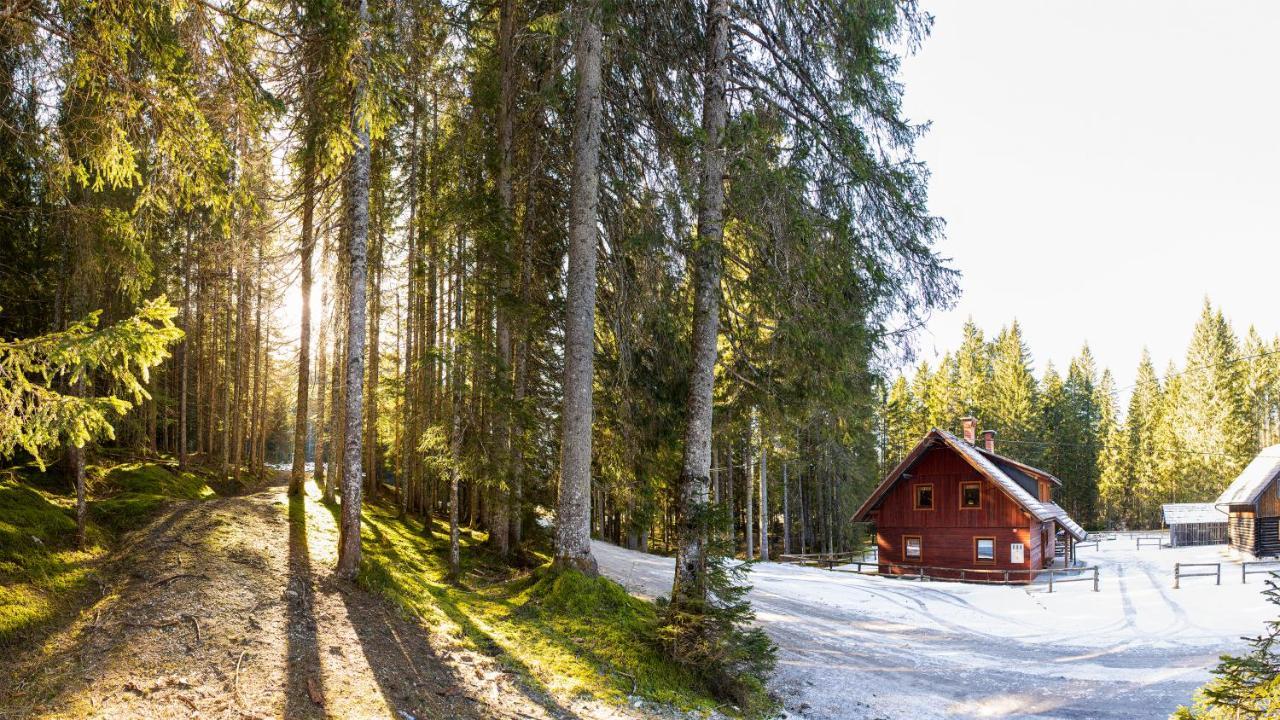 Digital Detox Chalet Pokljuka Goreljek Ngoại thất bức ảnh