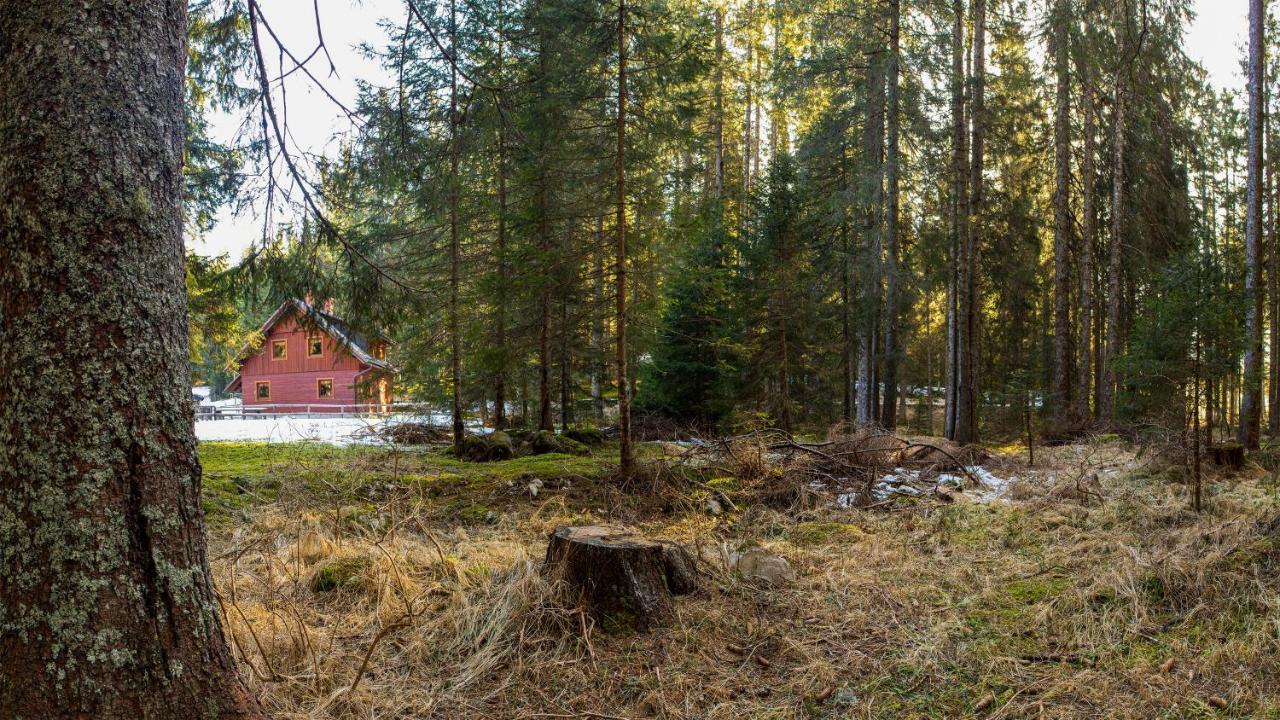 Digital Detox Chalet Pokljuka Goreljek Ngoại thất bức ảnh