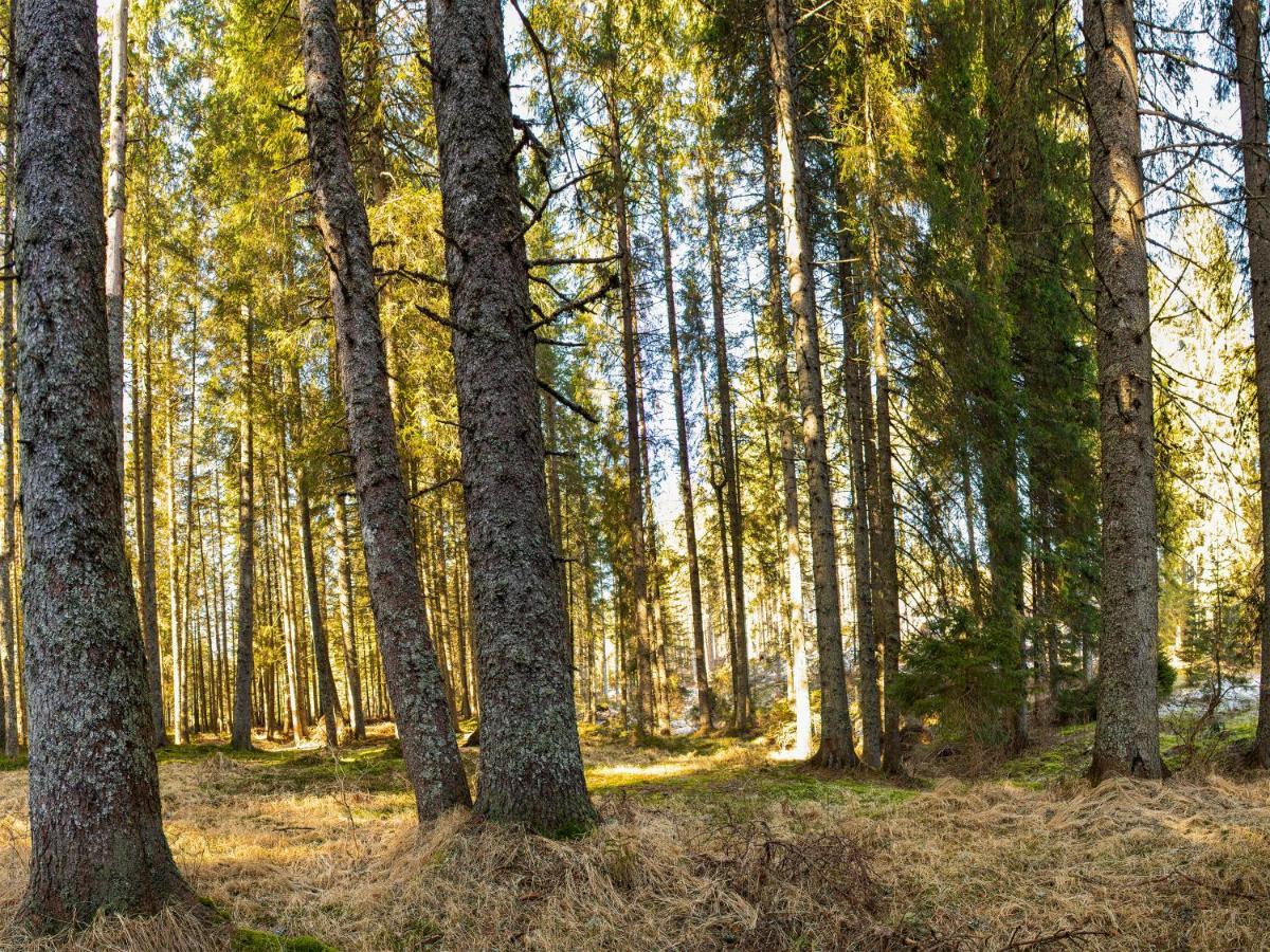 Digital Detox Chalet Pokljuka Goreljek Ngoại thất bức ảnh