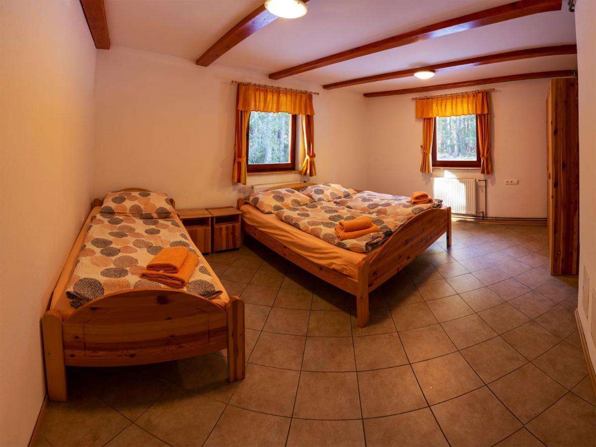 Digital Detox Chalet Pokljuka Goreljek Ngoại thất bức ảnh